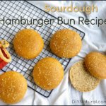 Recipe for Homemade Sourdough Hamburger Buns